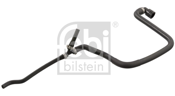 Radiator Hose